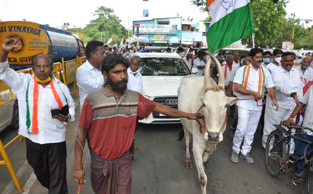 Congress party held a bicycle rally