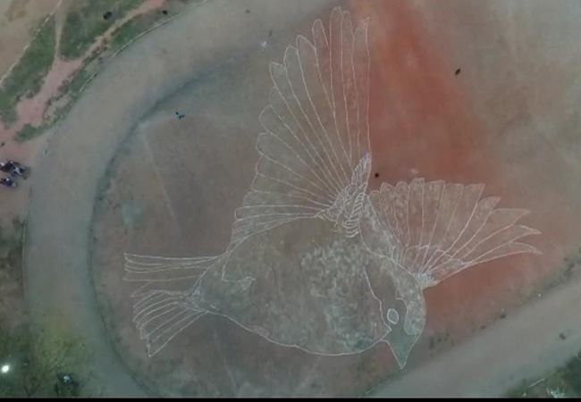 Engineering student who created a portrait of a sparrow with 400 kg of grains!