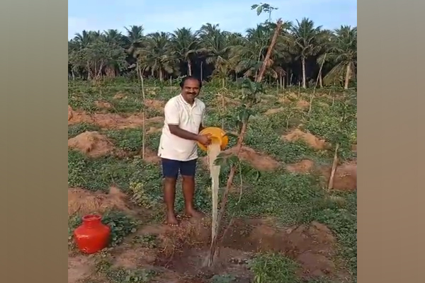 minister poured water on the saplings