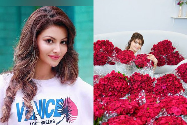 Urvashi Rautela gets rs.1 lakh roses