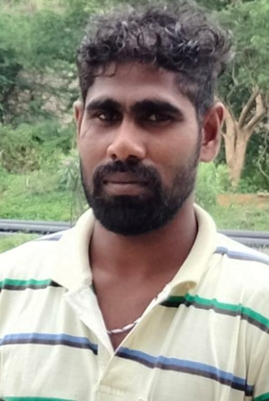 coconut tree incident in Parangipettai