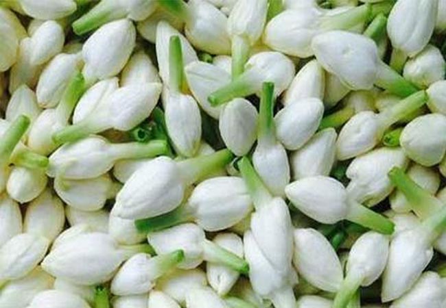 salem flower price hike