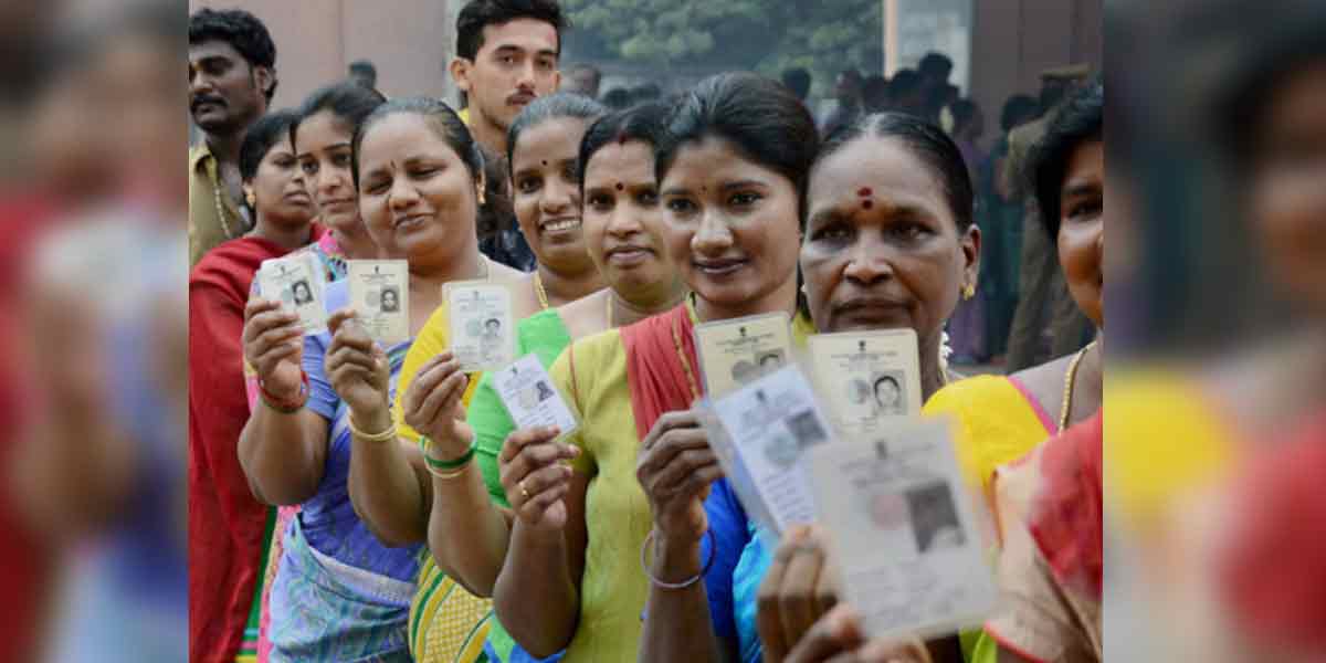 Assembly Election ... Additional Co-Election Chief Electoral Officers Appointed!