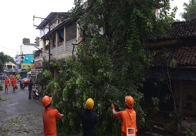 nivar cyclone tamilnadu,puducherry cms spoke with union home minister