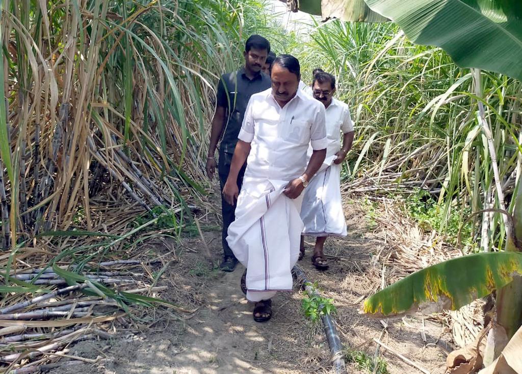 Minister searches for "leopard" in forest