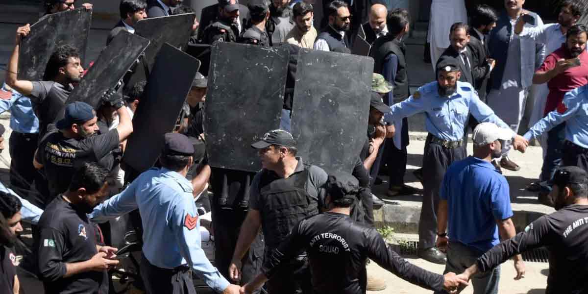 Imran supporter who stole peacock amid riots