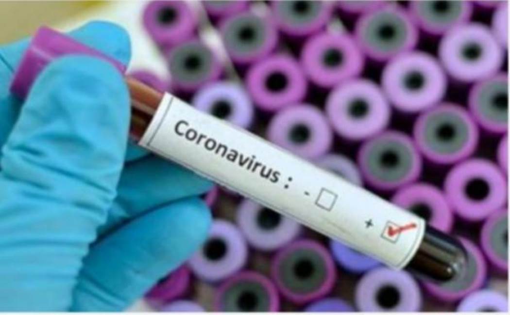 Tamilnadu - Corona virus