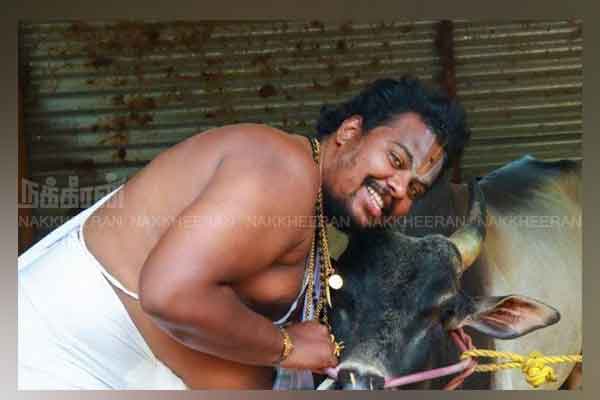 Srirangam Thippu jallikkattu Cow story