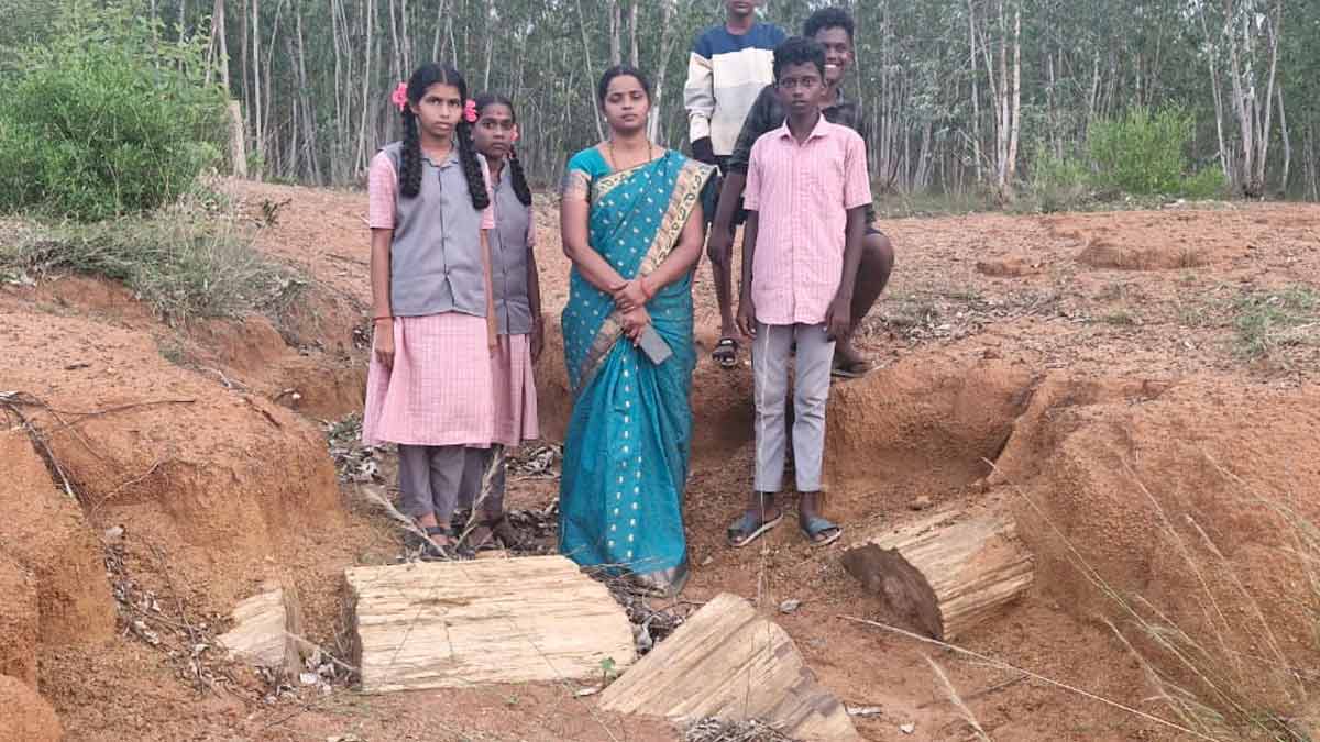 A stone tree found in the forest! A request to set up a geographical exhibition at the same place