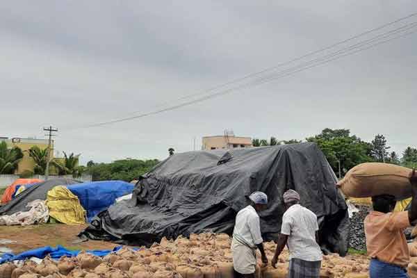 Farmers demand that the shortage of sacks at direct paddy procurement centers