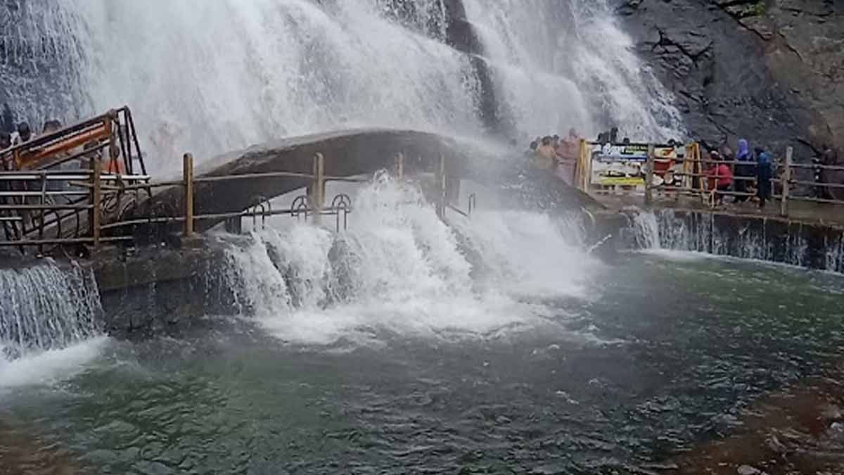 thenkasi