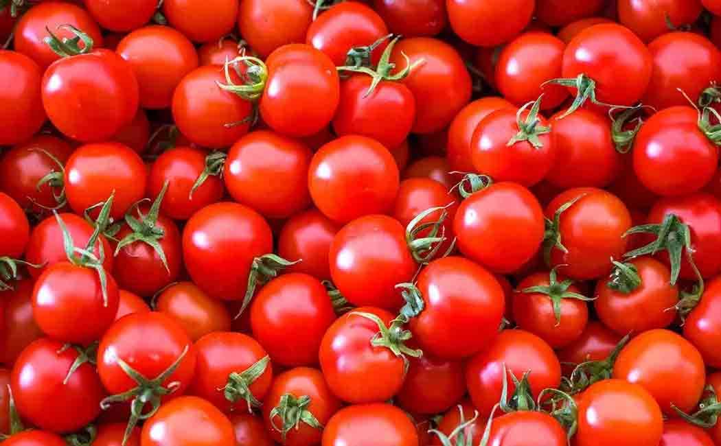 Price of tomato increased by Rs.20 more