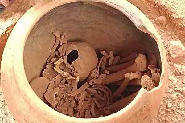 Adhichanallur Excavation skull