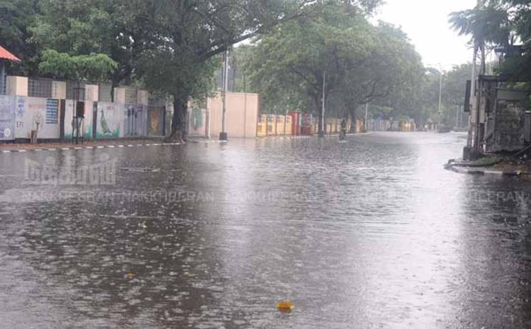 Heavy rain echo; Holidays tomorrow for schools and colleges in various districts!