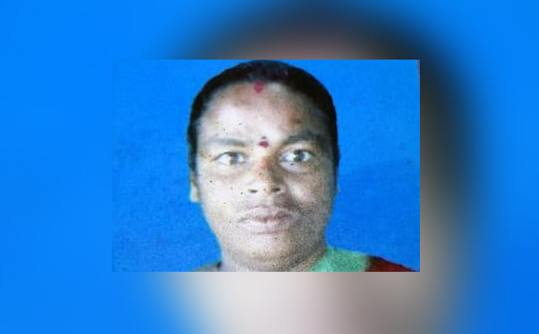 krishnagiri district elephant women incident forest officers