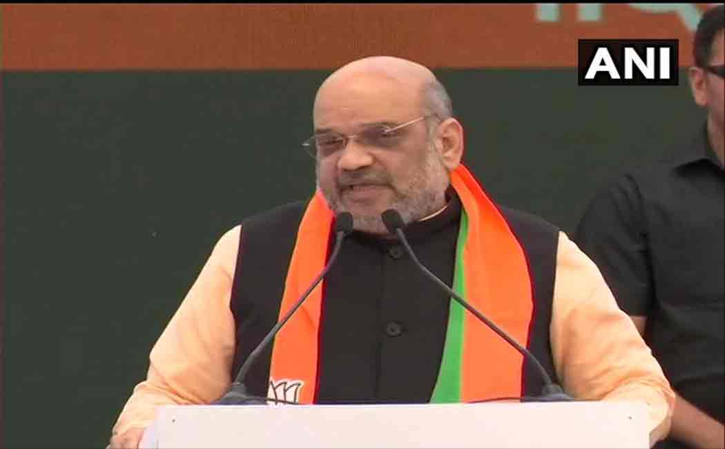 bjp manifesto sankalp patr released by rajnath singh