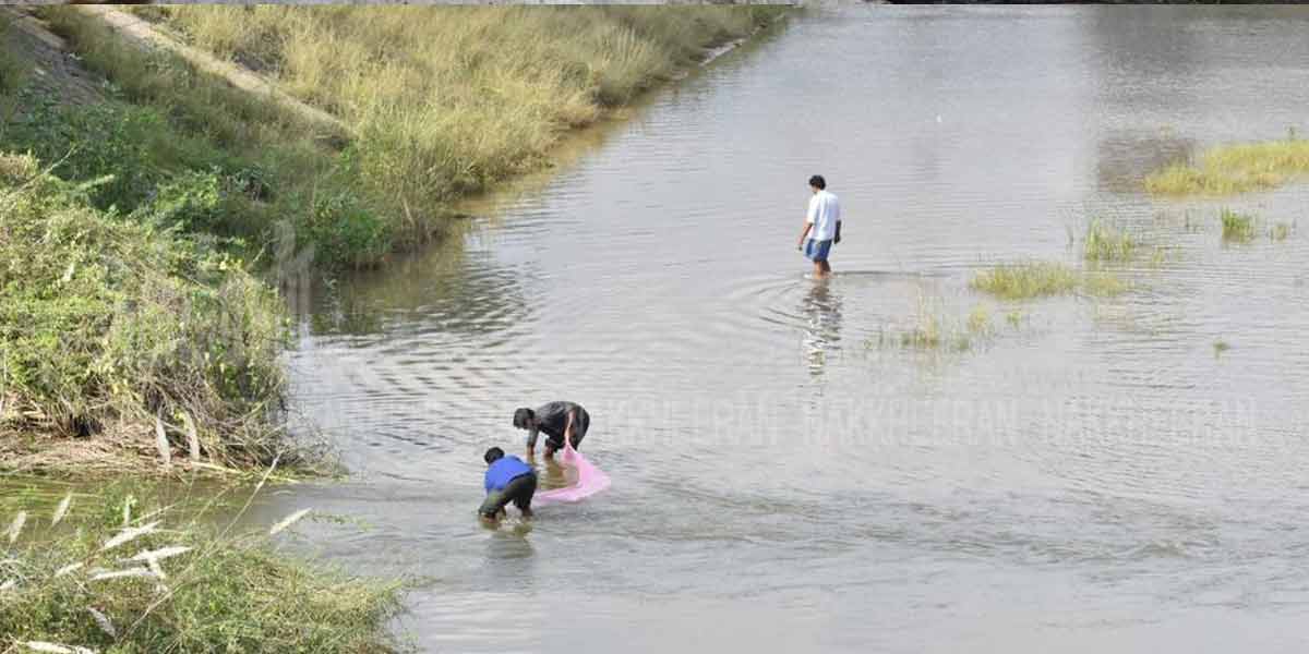 lake fish in kanjipuram