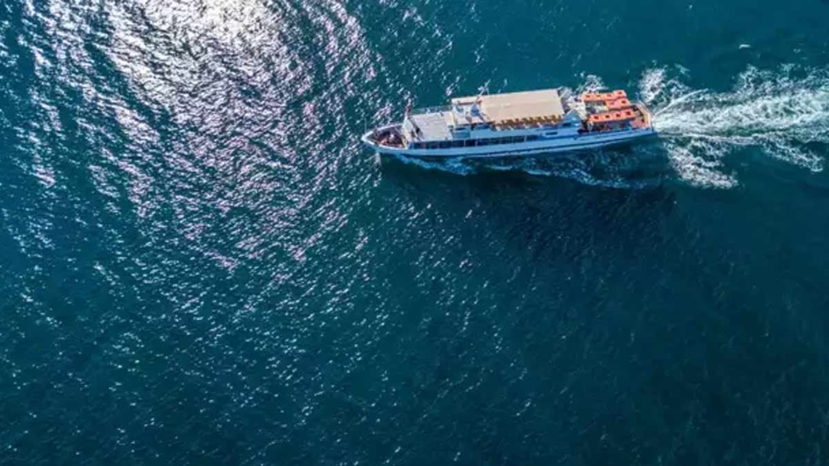 Fisherman attacked in Sri Lankan patrol boat collision; Tamil Nadu Government Relief Notification