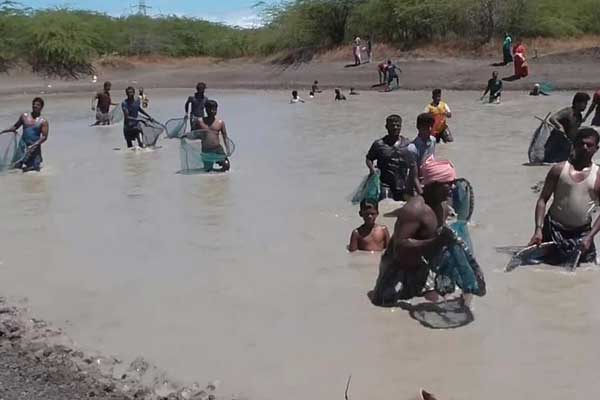 Fishing festival in violation of curfew rules .. Individual negligence ..?