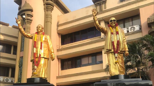 dmk