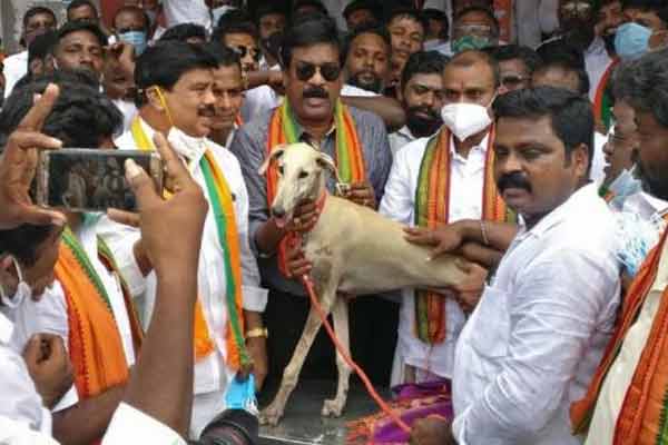 The gift given by the Tamil Nadu BJP in accordance with the advice of Prime Minister Modi