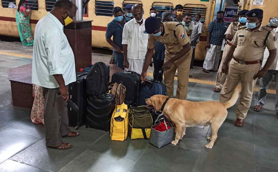 Police with the help of a sniffer dog
