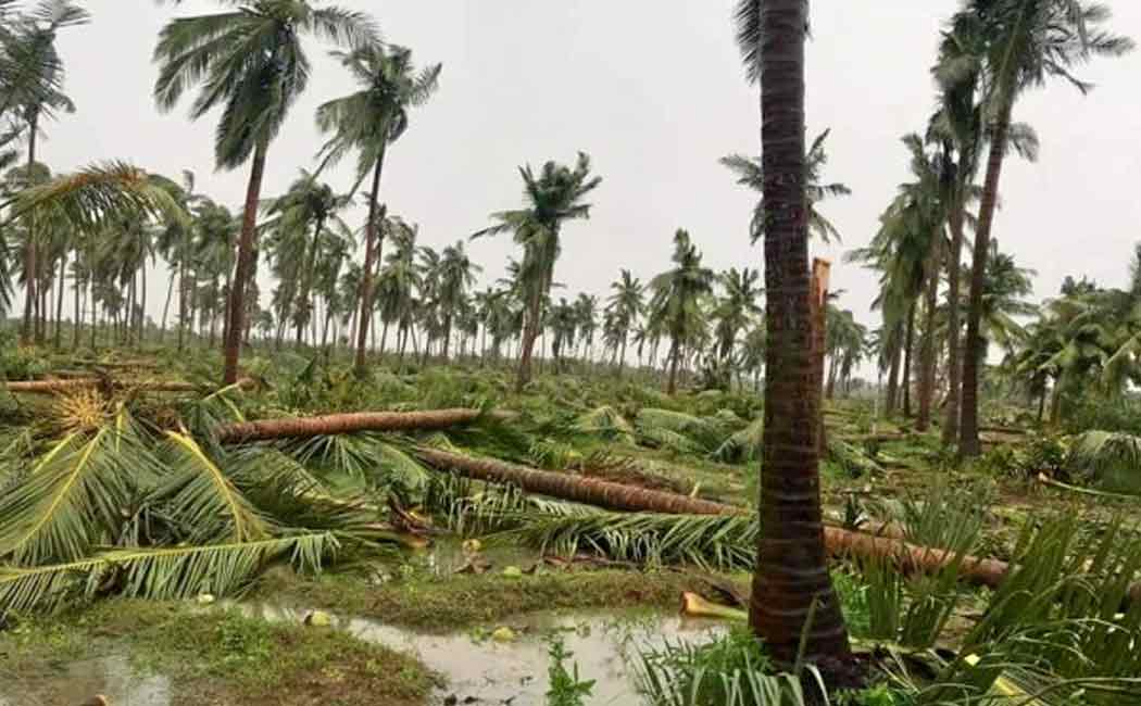 gaja cyclone