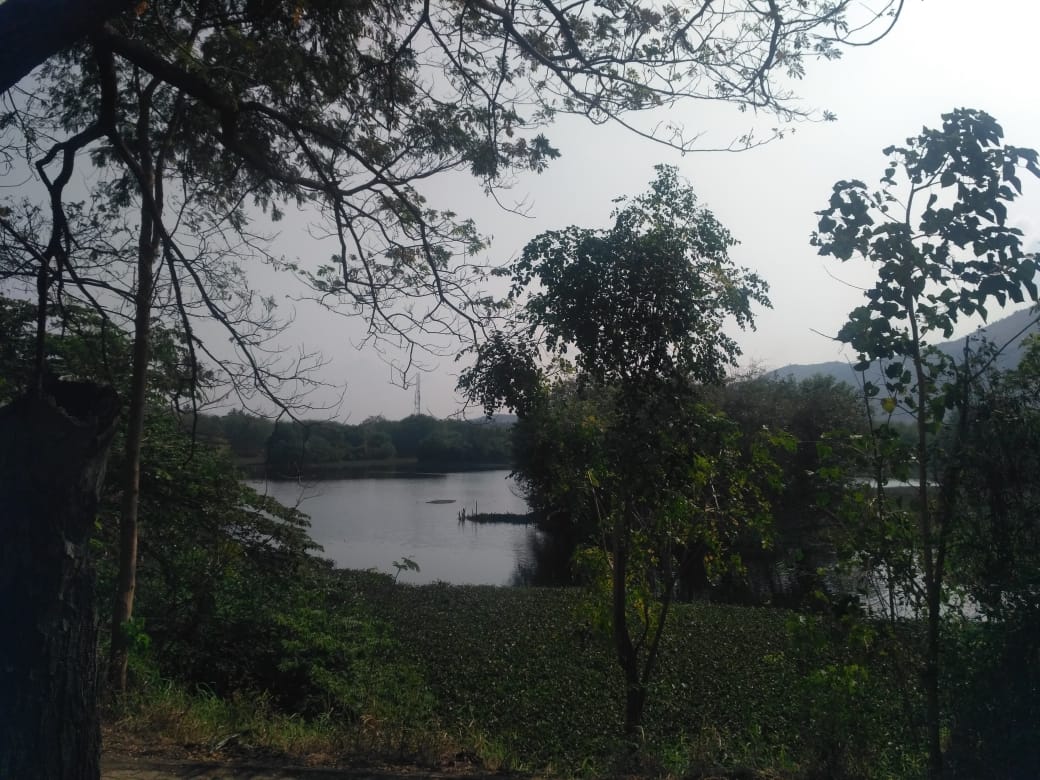 salem lake
