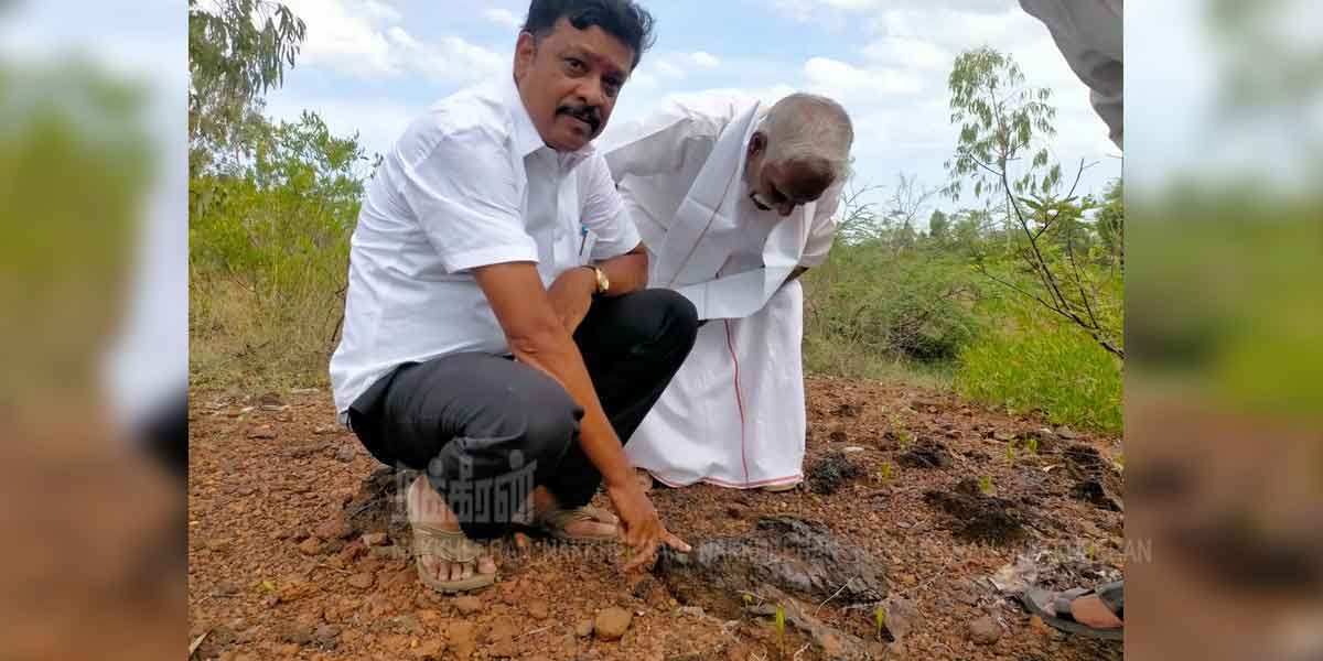 Traces of 2000-year-old iron waste... were discovered on a sprawling palm leaf!