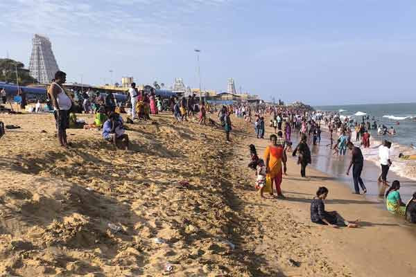 Jellyfish suddenly washed ashore on the Tiruchendur beach
