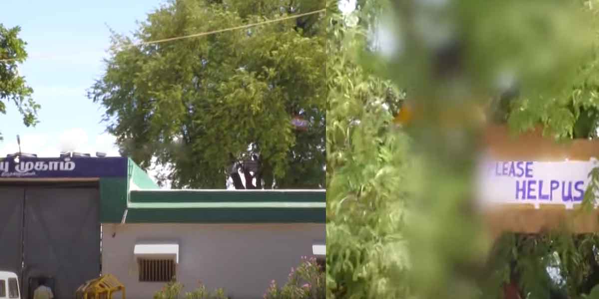 Prisoners protest by climbing the tree!