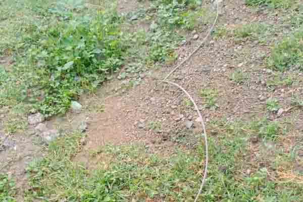 Three people passed away due to electric shock!