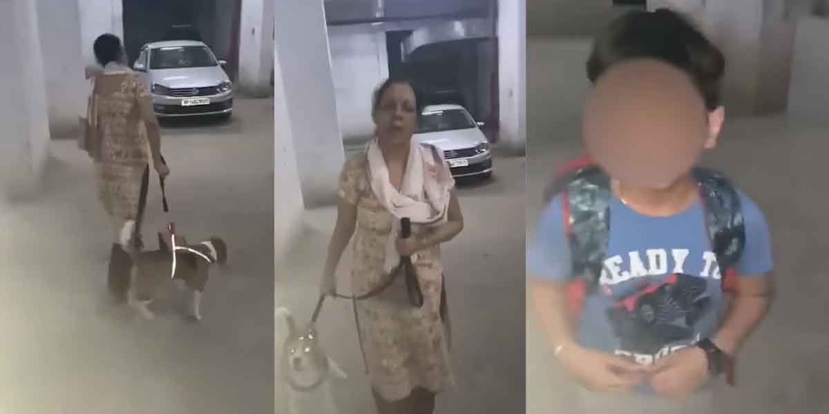 Stray dogs chased and bit the judge