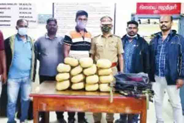 15 kg of cannabis smuggled in train seized