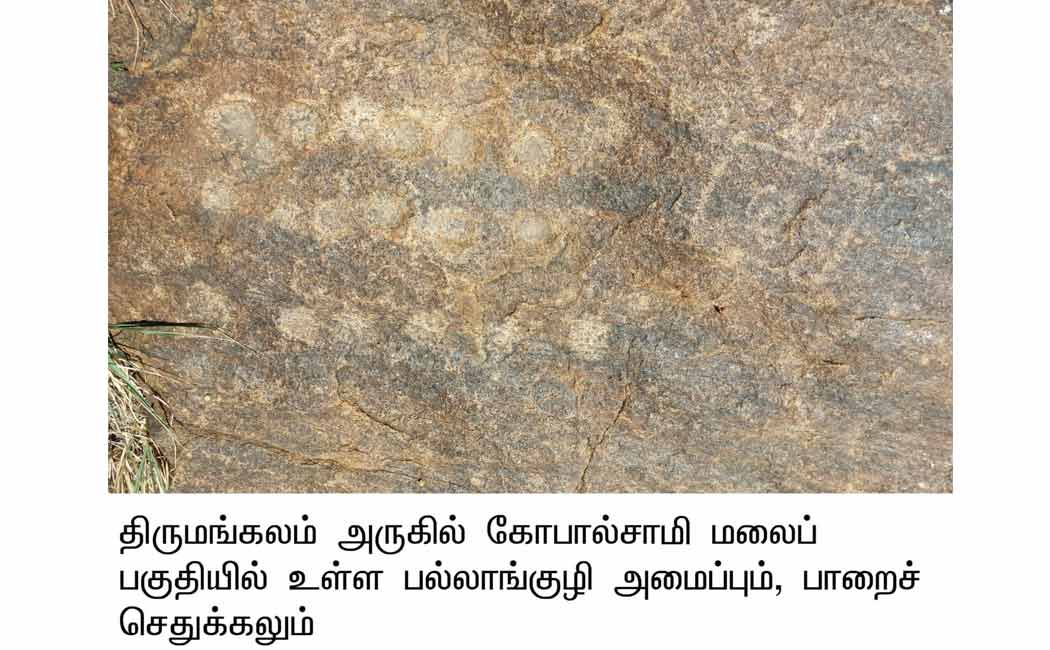 8,000-year-old grain-grinding stone discovered