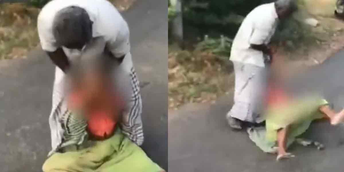 The son who lost his humanity ... The foster dog who tried to save his mother