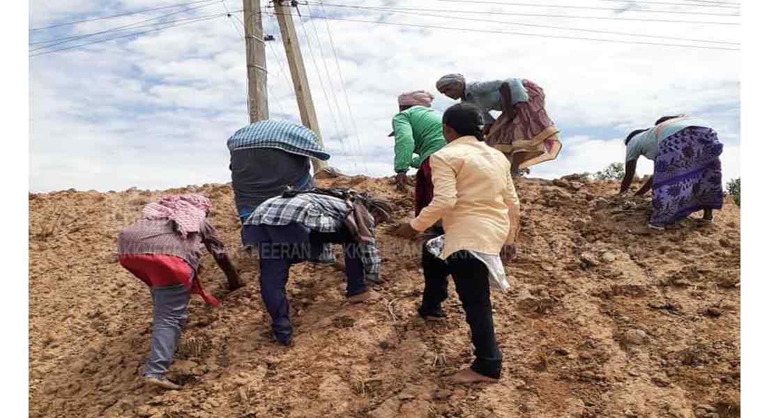 planting work to strengthen water bodies!