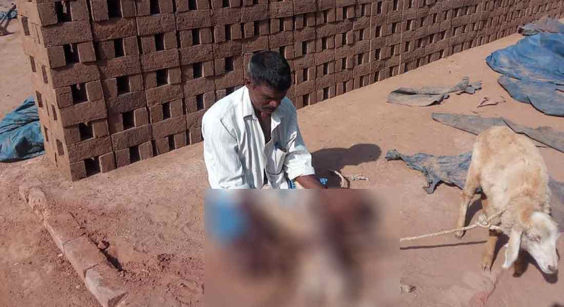 incident in vniyampadi...