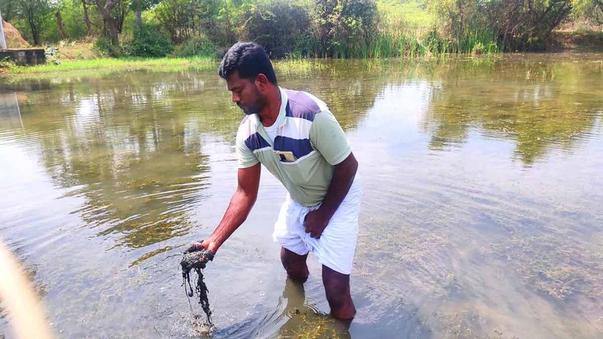 'Not only paddy but also fish can be grown in the field..'-Agriculture Semmal award to the farmer who has achieved!