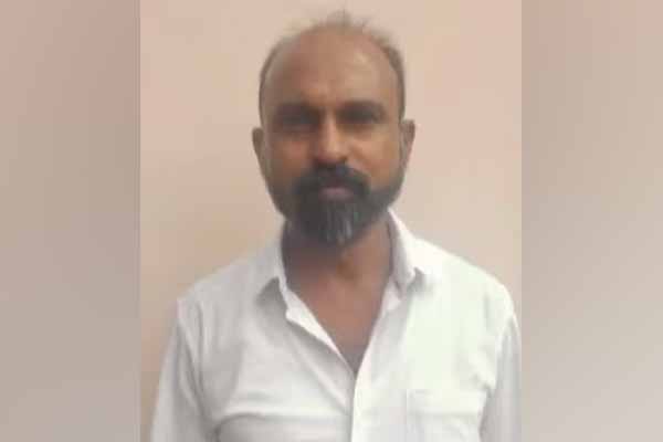 Emu chicken scam case Court makes dramatic ruling