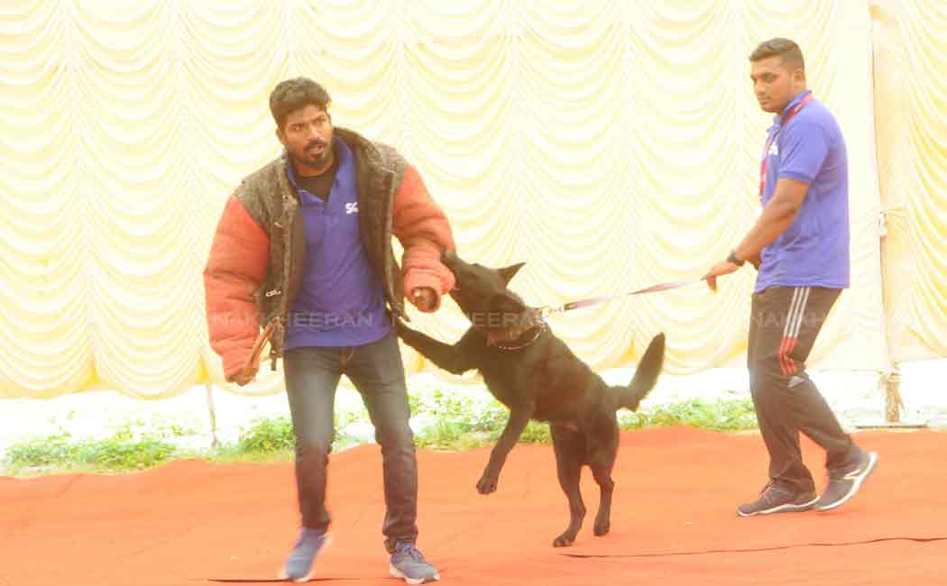 pet and dog show in chennai nandanam ymca ground