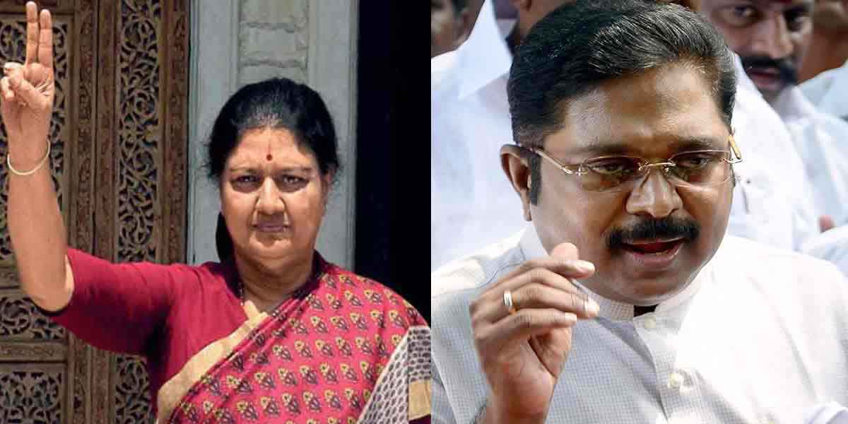 Sasikala is definitely contesting in this election- TTV Dinakaran interview