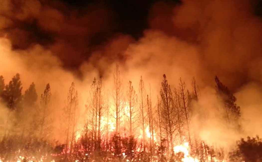 forest fire