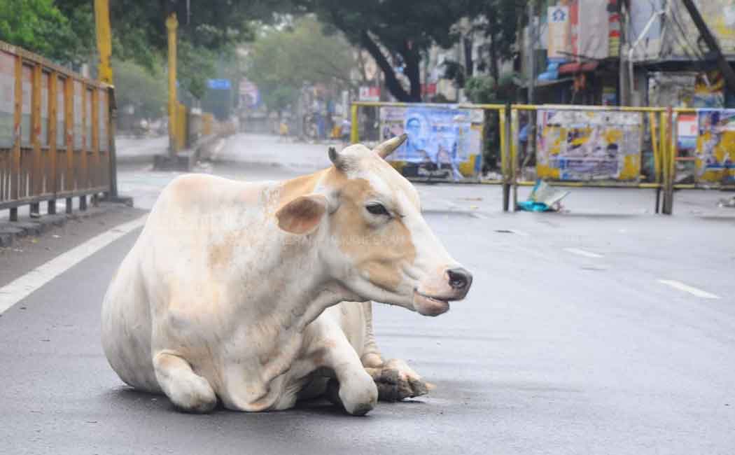 Empty roads in Chennai