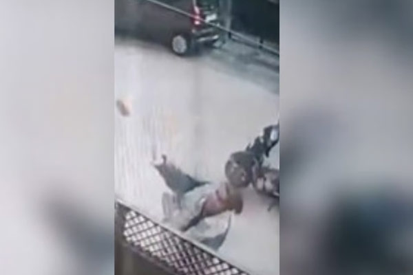 A daughter who throws stones at her parent's house in agra