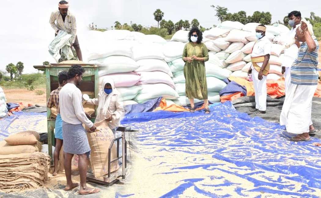 Minister Meyyanathan made a request to the Minister of Food