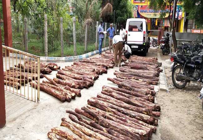 ANDHRA PRADESH Cemmarakkattaikal SEIZURE IN VELLORE VALAJA TOLL POLICE
