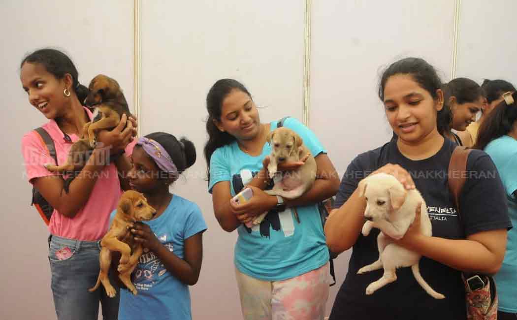 pet and dog show in chennai nandanam ymca ground