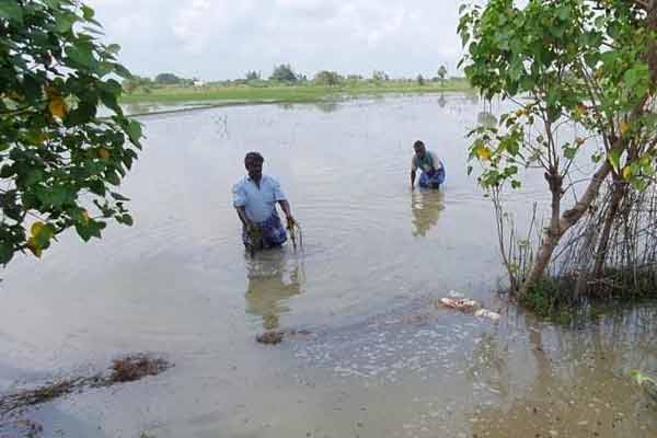 Continued heavy rain! Collector who inspected in person