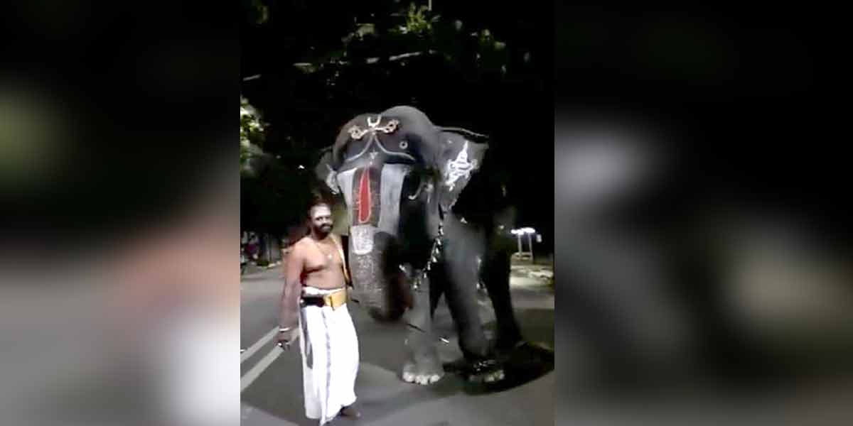 Srirangam elephant talking to Bhagan ... viral video!
